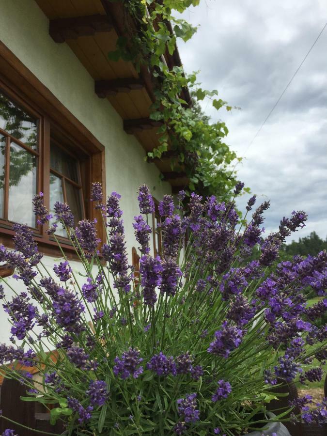 Dom Rodziny Sojkow Bed and Breakfast Bialka Tatrzanska Exteriör bild