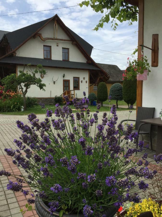 Dom Rodziny Sojkow Bed and Breakfast Bialka Tatrzanska Exteriör bild
